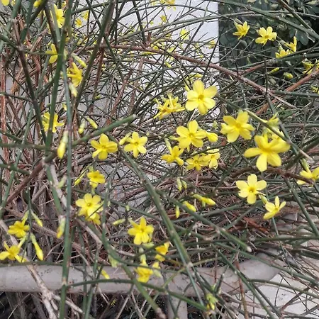 Appartamento Quartier Latin