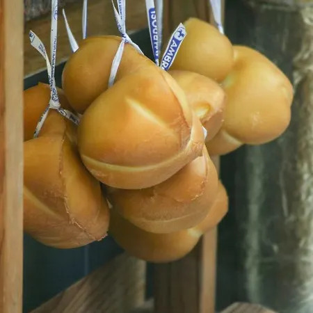 Quartier Latin דירה