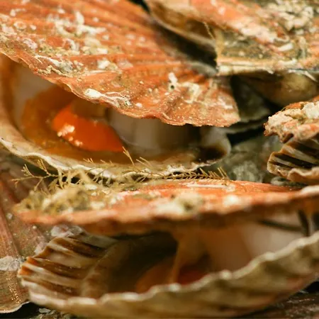 Quartier Latin * פריז