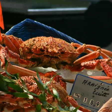 Daire Quartier Latin *